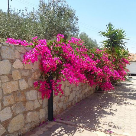 Villa Bamour With Paradise View Epidaurus Екстер'єр фото